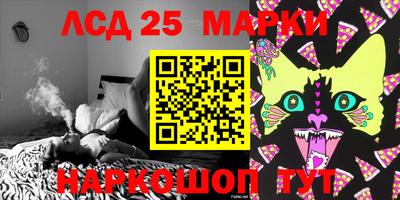 стафф Славгород