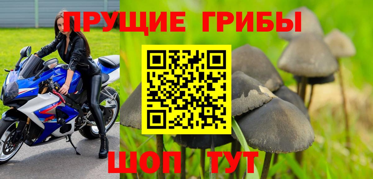 Псилоцибиновые грибы Cubensis  Псилоцибиновые грибы Psilocybine cubensis  Вход с VPN  Аргун 